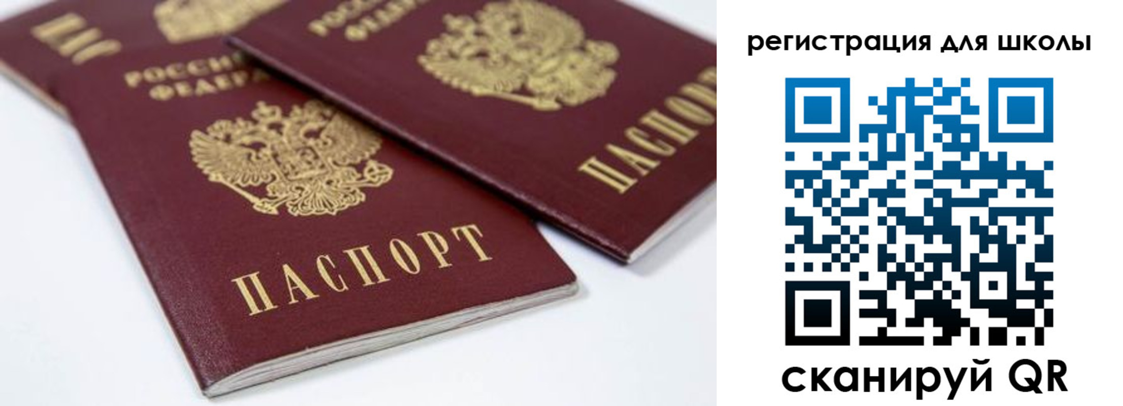 временная регистрация для всех в Светогорске